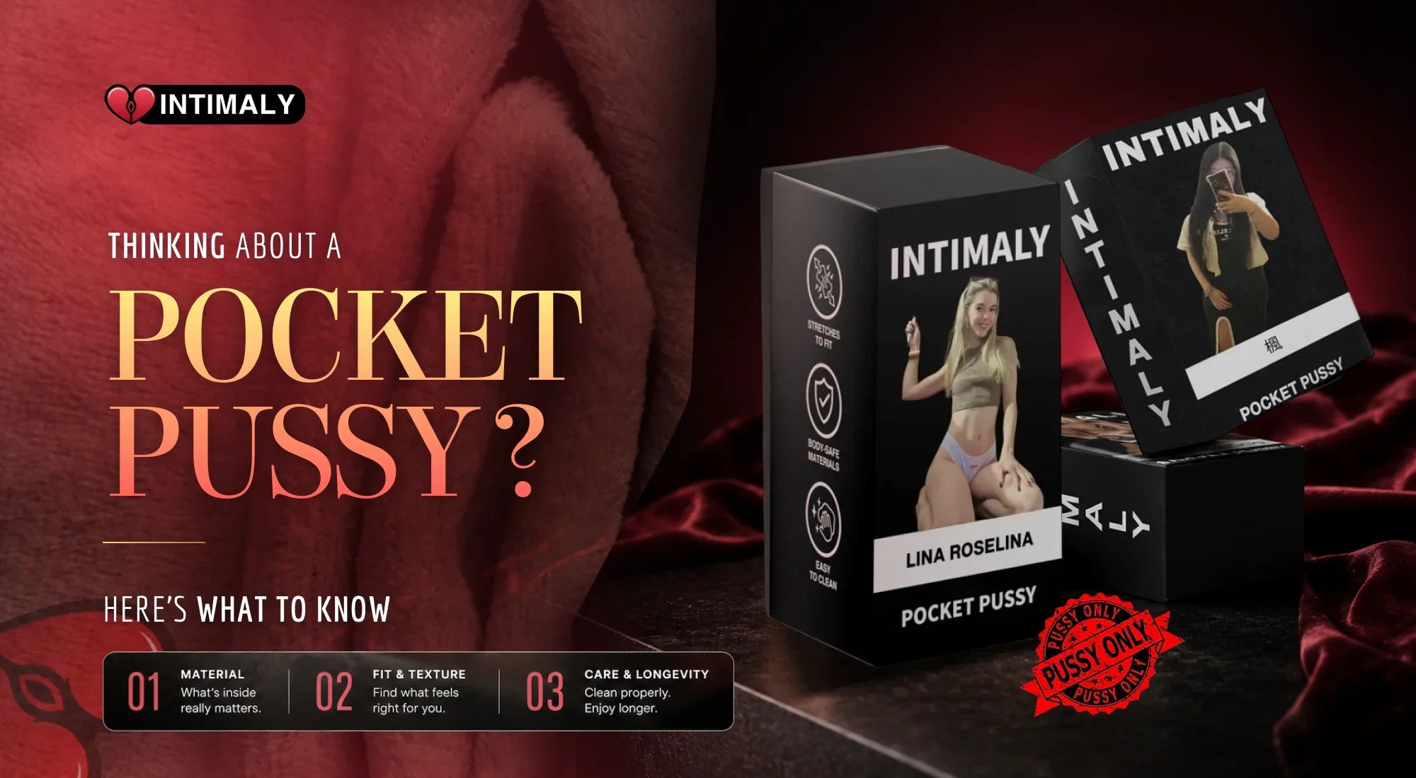 Thinking About a Pocket Pussy? Here’s What to Know