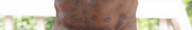Intimaly custom dildo sex toy Feel Real King Cobra