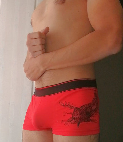 Intimaly custom dildo sex toy Feel Ropesshibari1