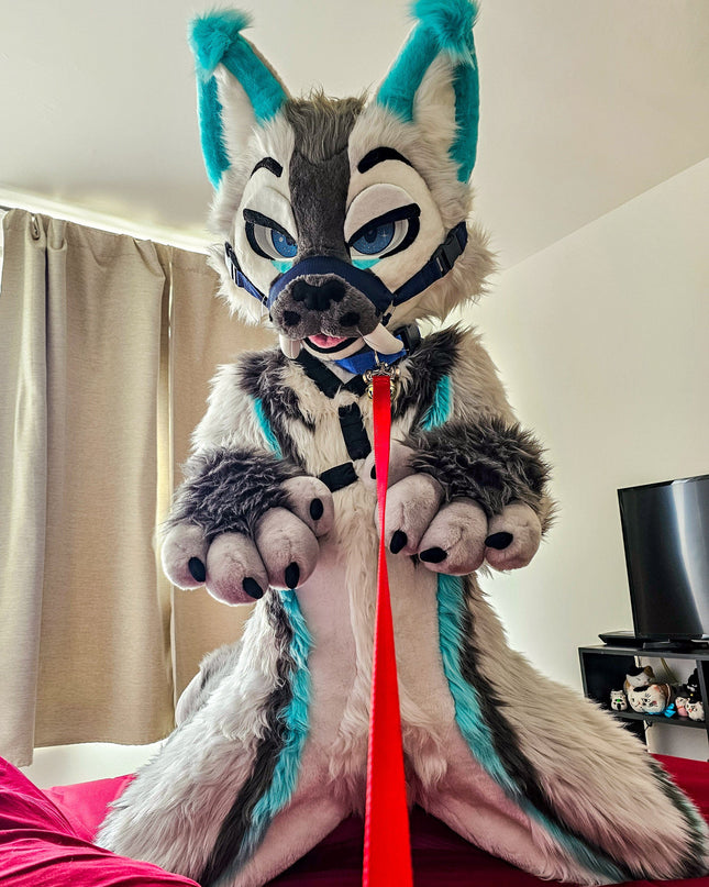 Intimaly custom dildo sex toy Feel Xytan Jar